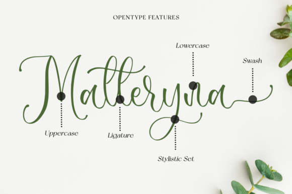 Sophina Font Poster 9