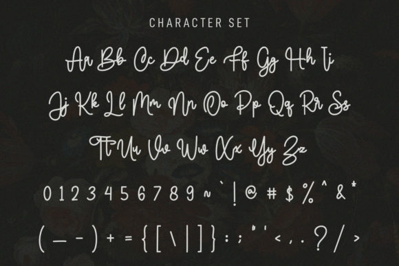 Sortelica Font Poster 9