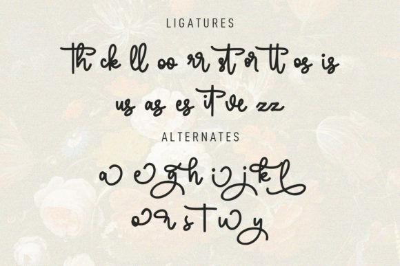 Sortelica Font Poster 10