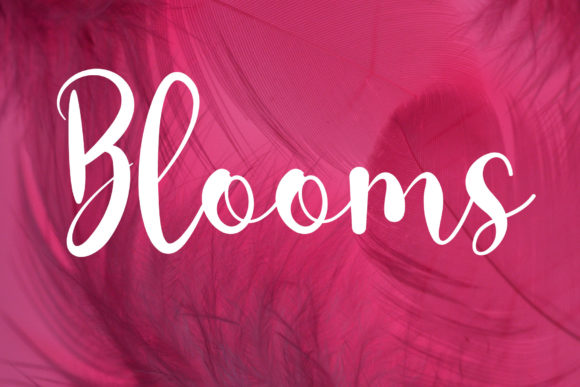 Soul Mate Font Poster 4