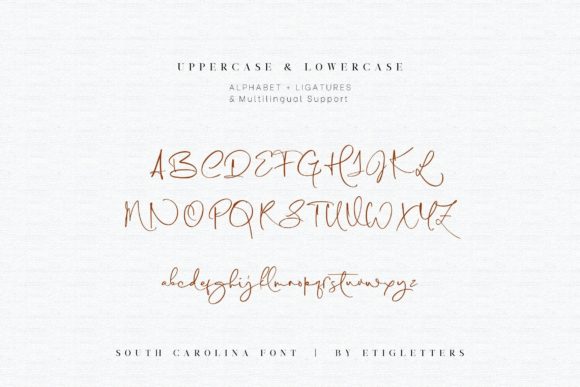 South Carolina Font Poster 9