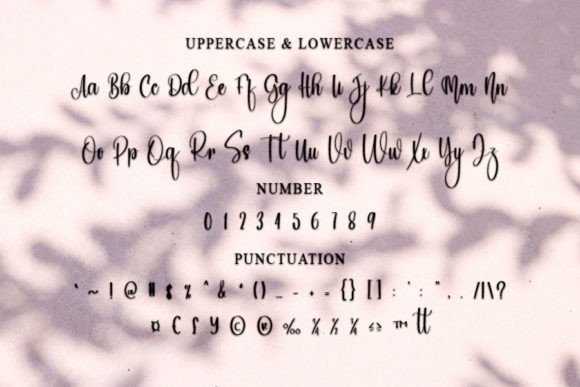 South Island Font Poster 5