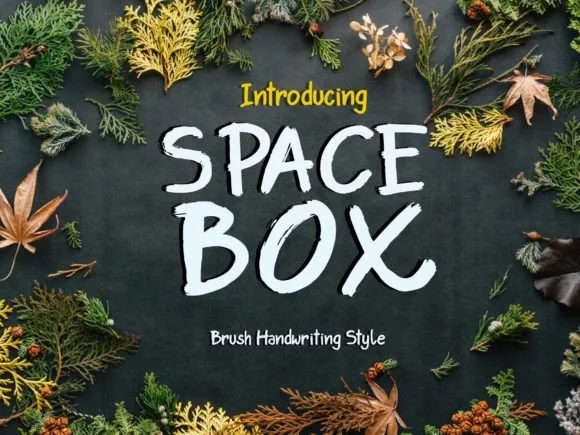Space Box Font Space Box Font Poster 1
