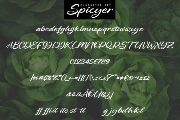 Spicyer Font Poster 5