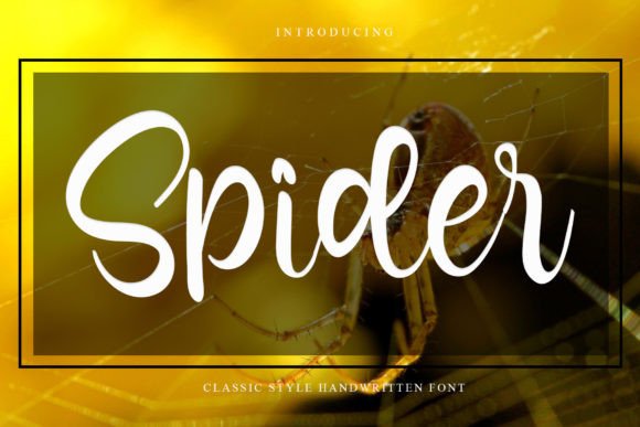 Spider Font Poster 1