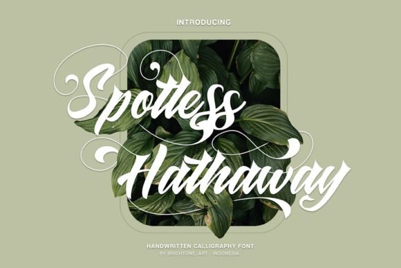 Spotless Hathaway Font Poster 1