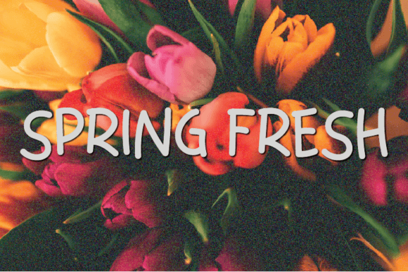 Spring Fresh Font