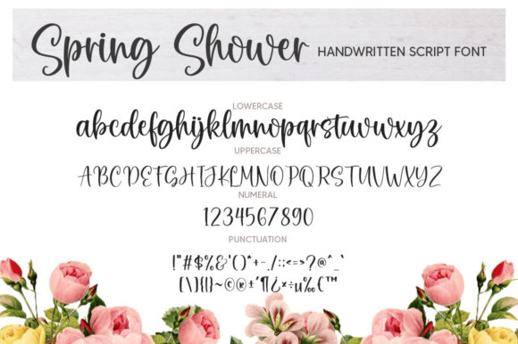 Spring Shower Font Poster 6