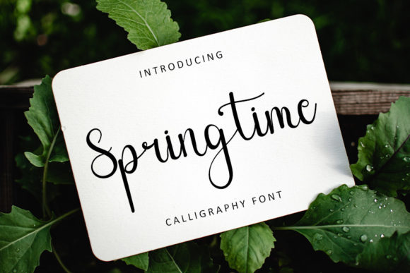 Spring Time Font Poster 1