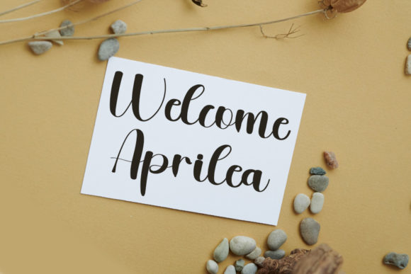 Springs Font Poster 2