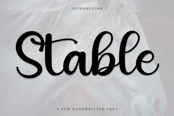 Stable Font