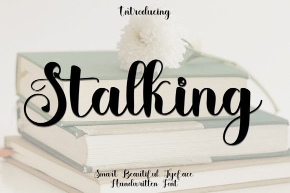 Stalking Font Poster 1