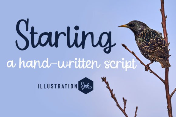 Starling Font