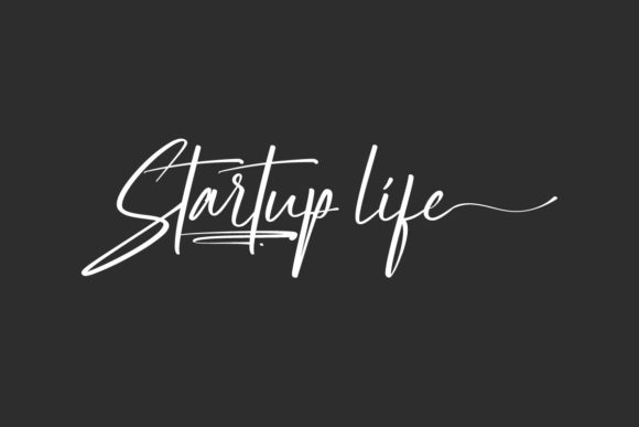 Startup Life Font Poster 1