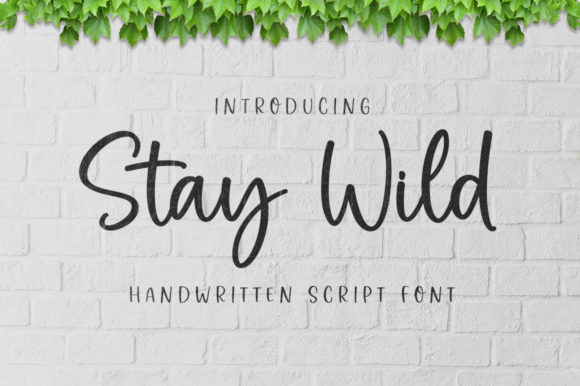 Stay Wild Font Poster 1