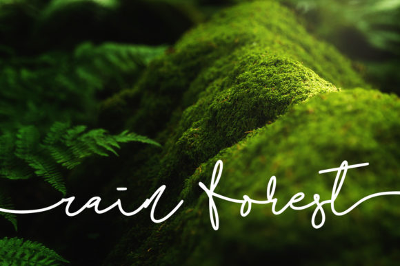 Stefina Font Poster 2