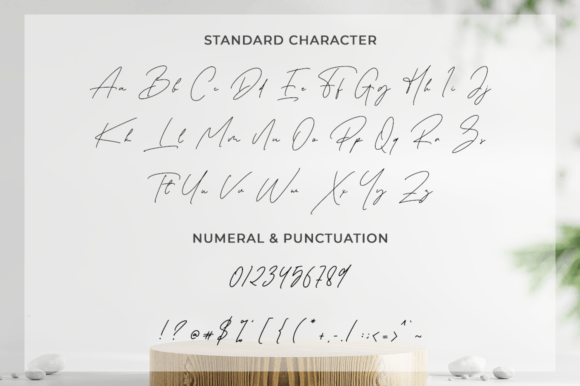 Stunning Girl Font Poster 10