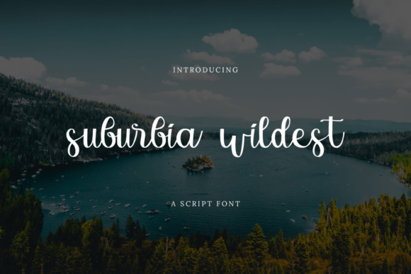 Suburbia Wildest Font Poster 1