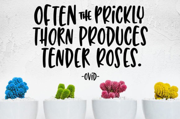 Succulent Font Poster 8