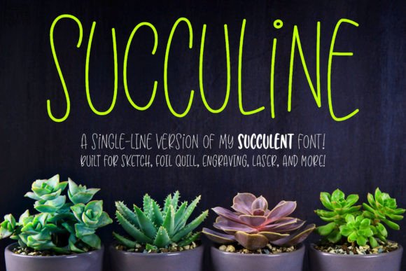 Succuline (single Line) Font