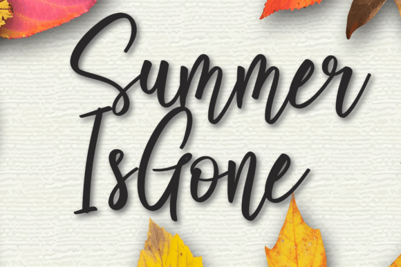 Summer is Gone Font Poster 1