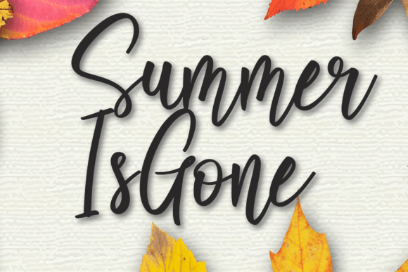 Summer is Gone Font Summer is Gone Font Poster 1