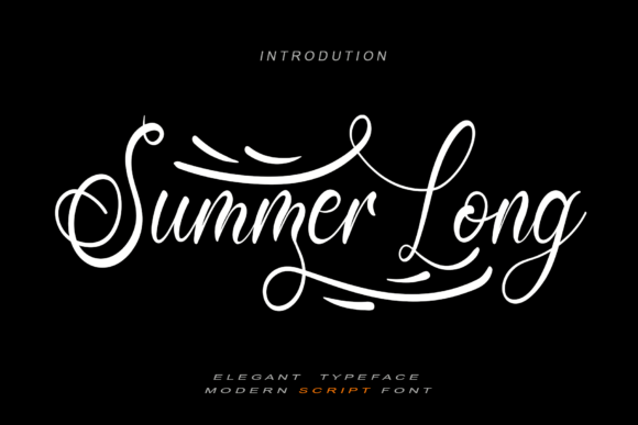 Summer Long Font Poster 1