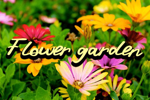 Summer  Vintage Font Poster 4