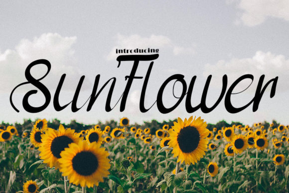 Sun Flower Font Poster 1