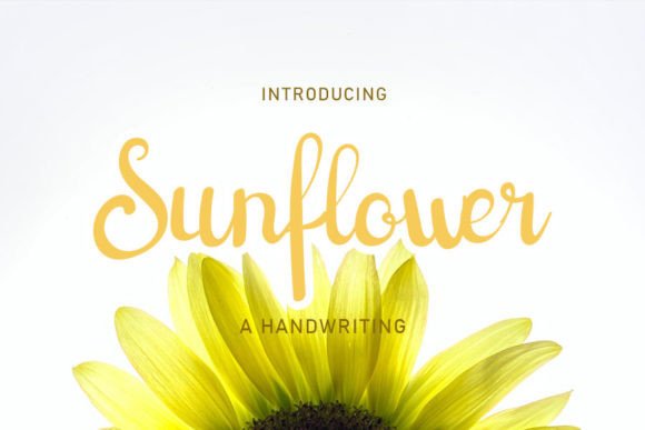 Sunflower Font Poster 1