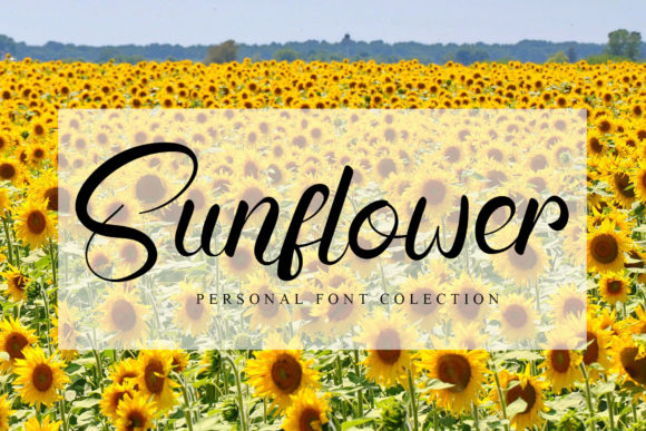 Sunflower Font