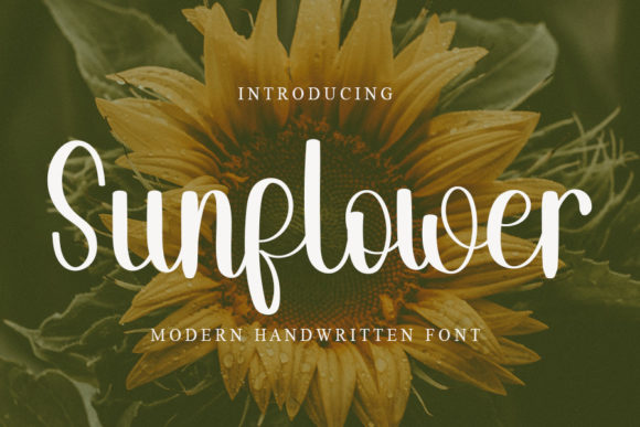 Sunflower Font