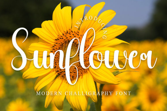 Sunflower Font Poster 1