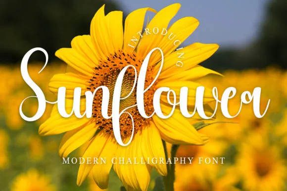 Sunflower Font Sunflower Font Poster 1