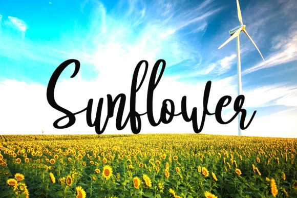 Sunflower Font Poster 1