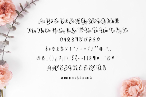 Sunrise Font Poster 5