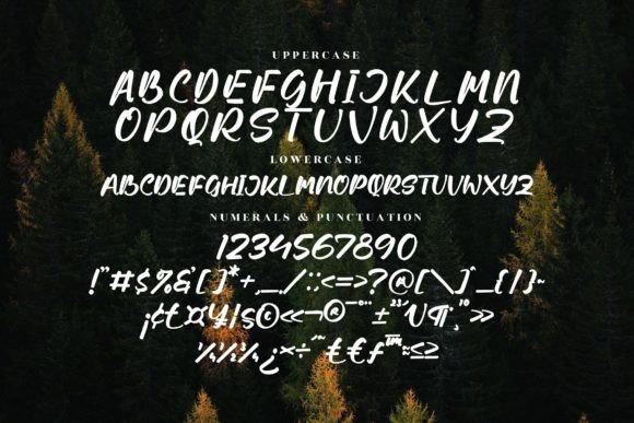 Sunromi Font Poster 13