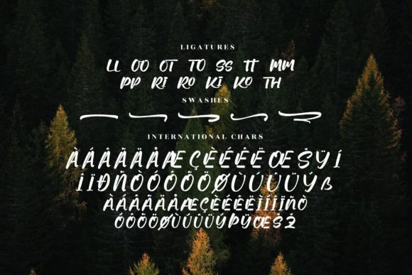 Sunromi Font Poster 14