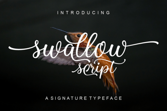 Swallow Script Font Poster 1
