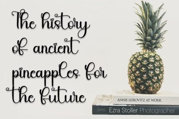 Sweet Pineapple Font Poster 2