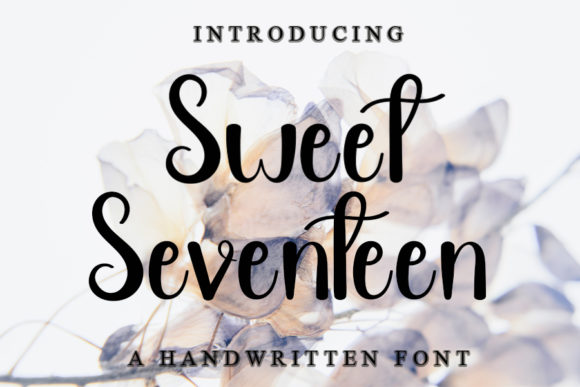 Sweet Seventeen Font Poster 1