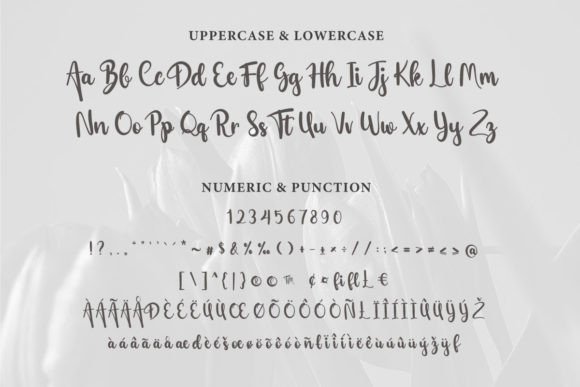 Syawra Font Poster 7