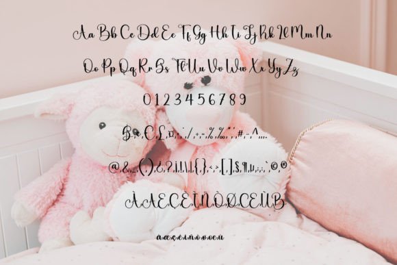 Teddy Font Poster 7