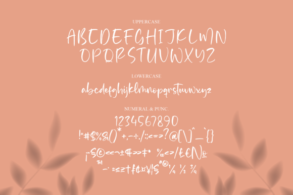 Templatos Font Poster 13