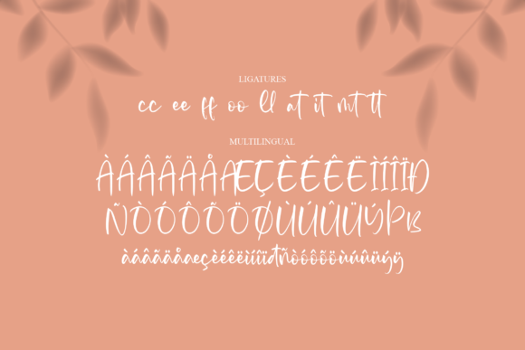 Templatos Font Poster 14