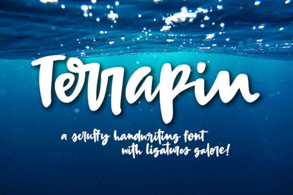 Terrapin Font Poster 1