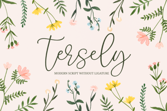 Tersely Font Poster 1