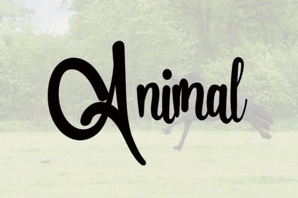 Thamia Font Poster 3
