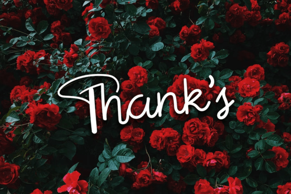 Thanks Love Font Poster 5