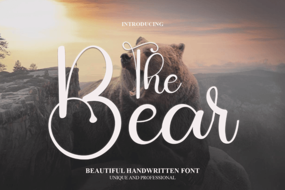 The Bear Font